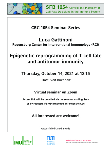 Gattinoni CRC 1054 Seminar