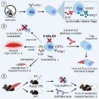 becker et al 2023