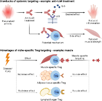 becker et al 2024
