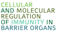 gender_symp_2015