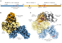 lammens et al 2022