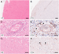 mitsdoerffer et al 2022