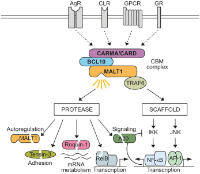 moud et al 2024
