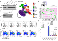 xu et al 2024