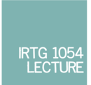 Teaser-IRTG Lecture