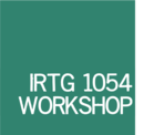 Teaser-IRTG Workshop