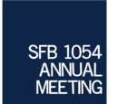 Teaser-SFB Annual Meeting